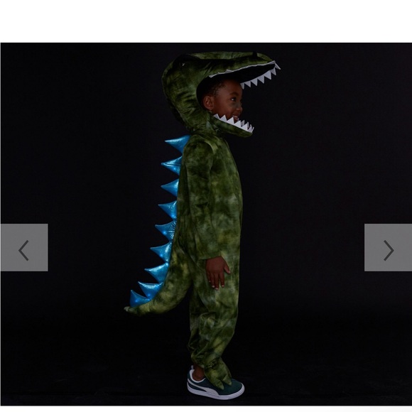 pottery barn, dinosaur Halloween costume in 2T - Picture 3 of 5